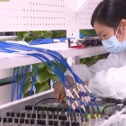 2025 China Internet Conference: China Mobile erreicht 280 GBit/s in 6G-Testnetz