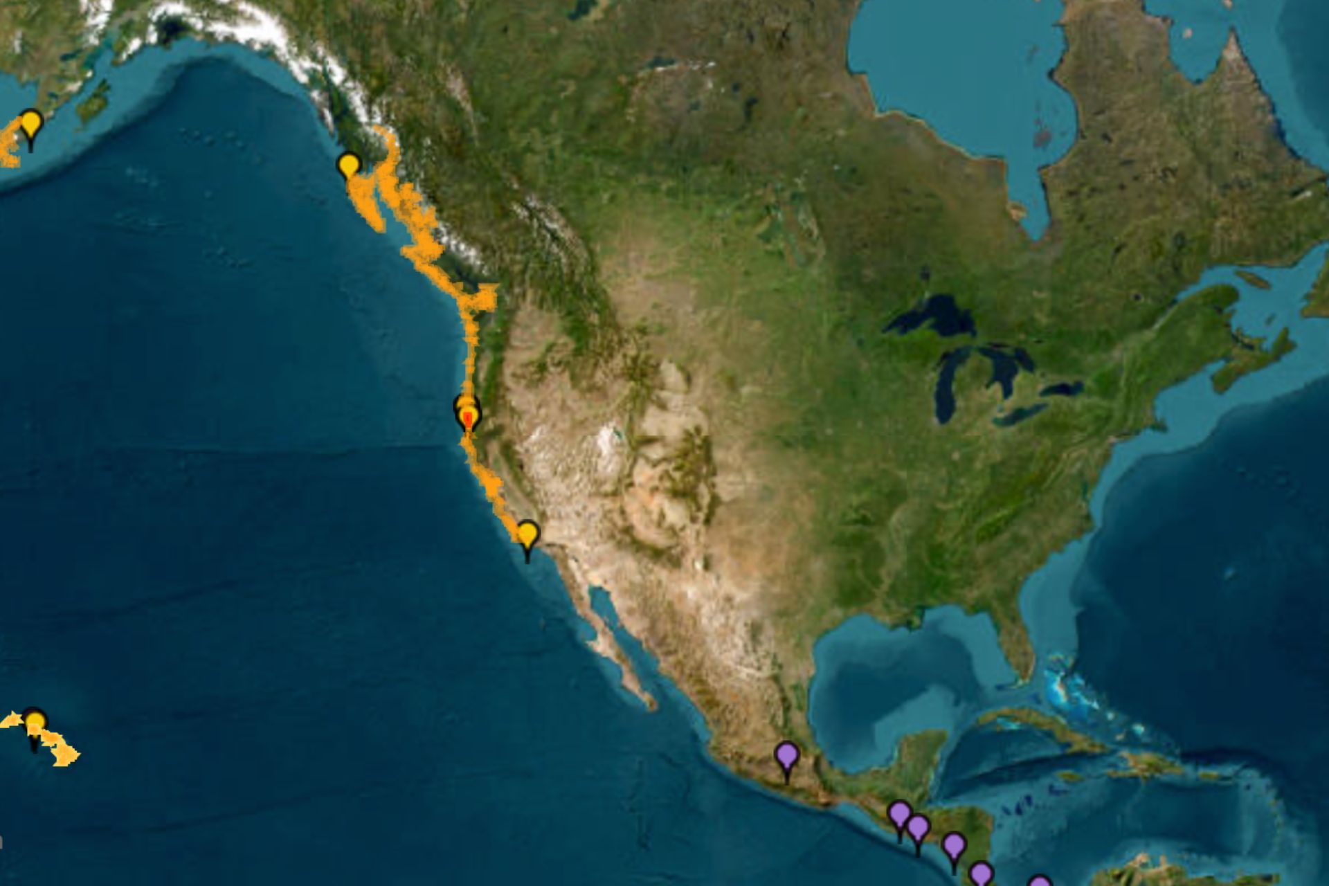 6th Biggest Earthquake Ever Recorded Strikes Pacific, Triggers Widespread Tsunamis: What We Know So Far