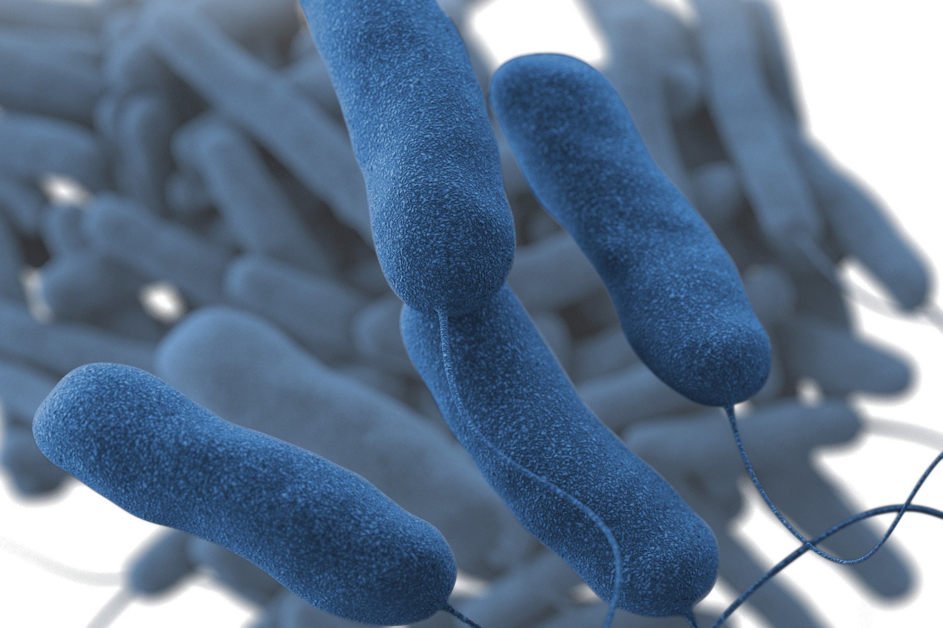 A Deadly Outbreak of Legionnaires’ Disease Is Hitting NYC