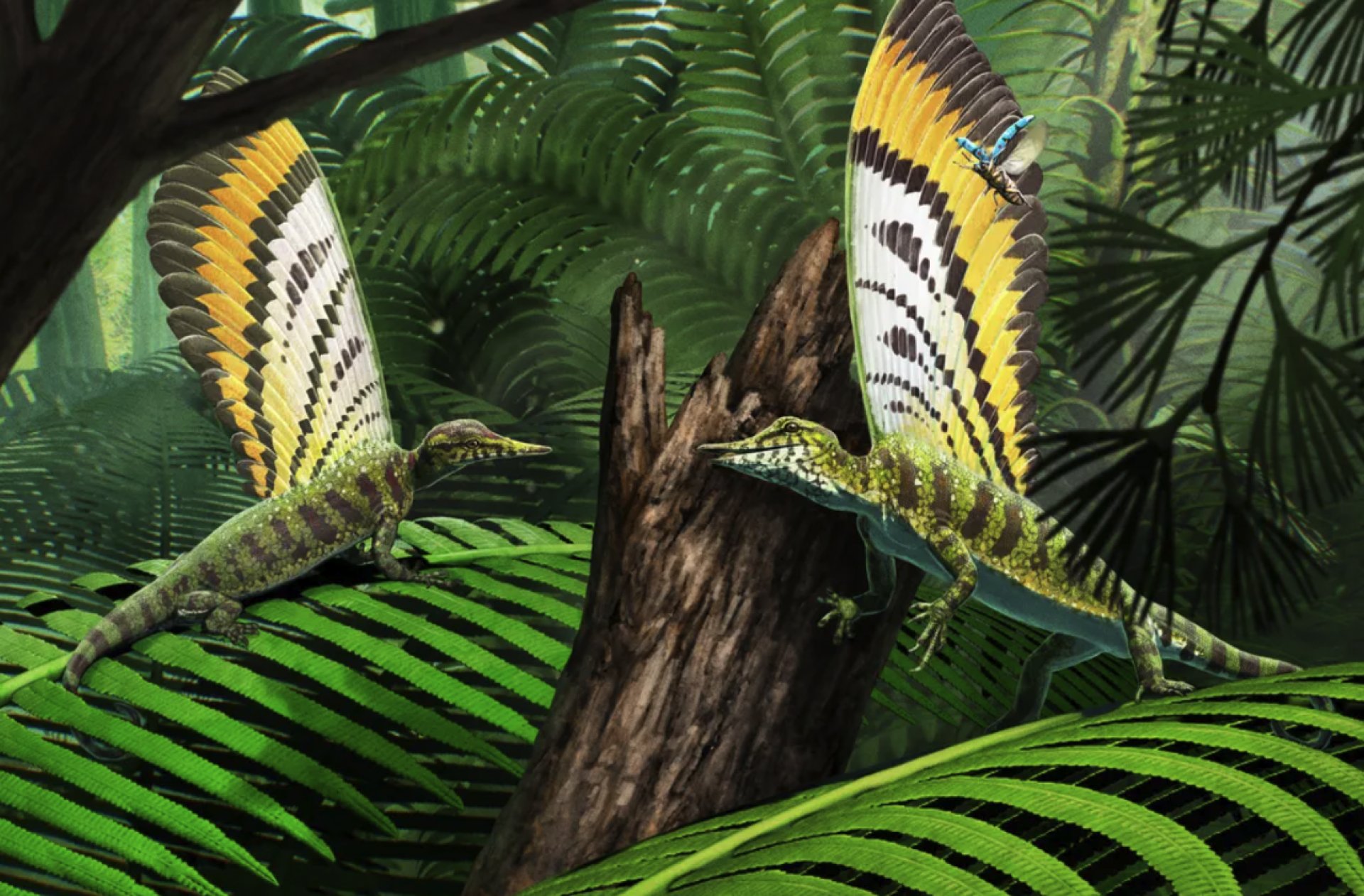 Adorable Triassic Reptile Used its Freaky Back Fin to Communicate
