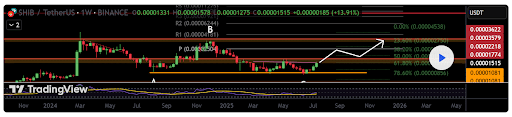 Analyst Predicts Explosive 126% Shiba Inu Rally After SHIB Surpasses Litecoin Market Cap