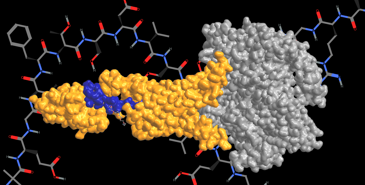 Analyzing Semaglutide’s Biochemistry with Wolfram Language
