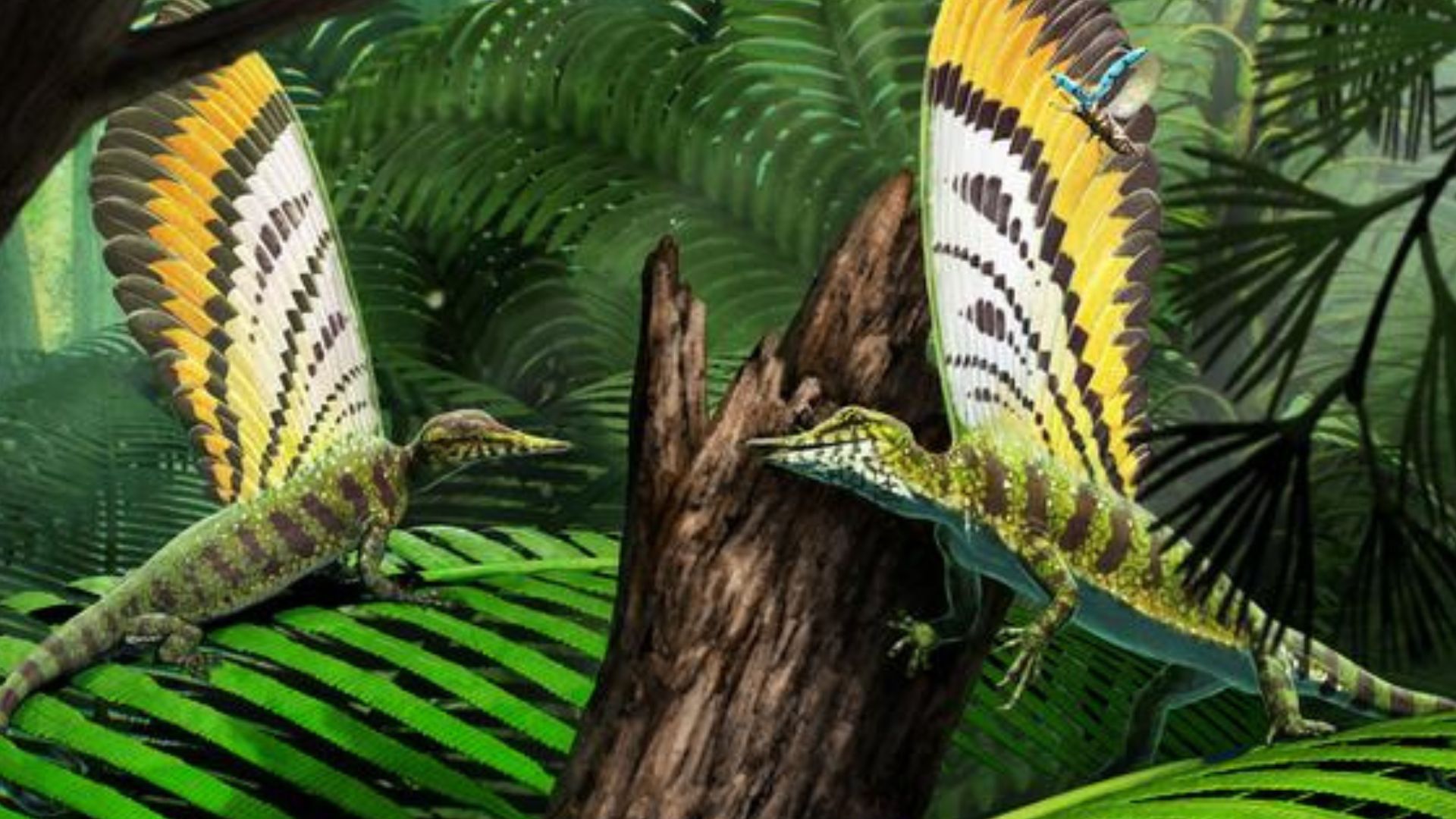 Ancient ‘wonder’ reptile with feather-like skin found in fossil that predates dinosaurs