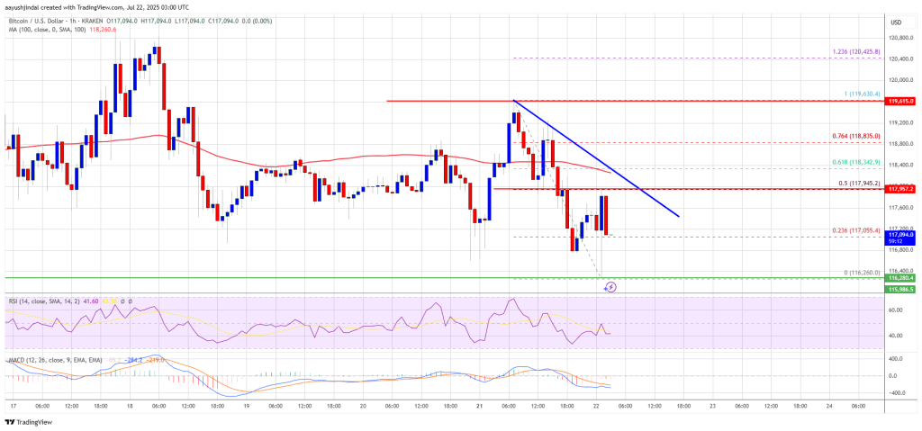 Bitcoin Price Consolidates—Is a Downside Correction on the Horizon?