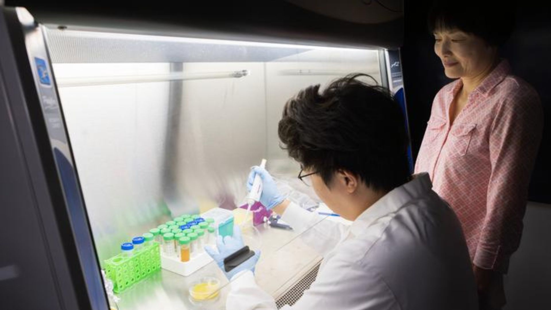 Breakthrough turns food waste into plastic and fertilizer in double win for Earth
