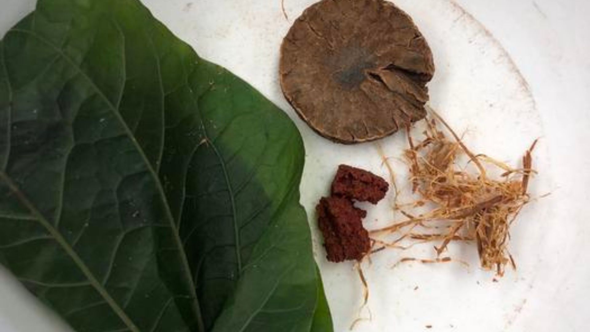 Bronze Age Red Bull? 4,000-year-old Thai teeth reveal betel nut chewing tradition