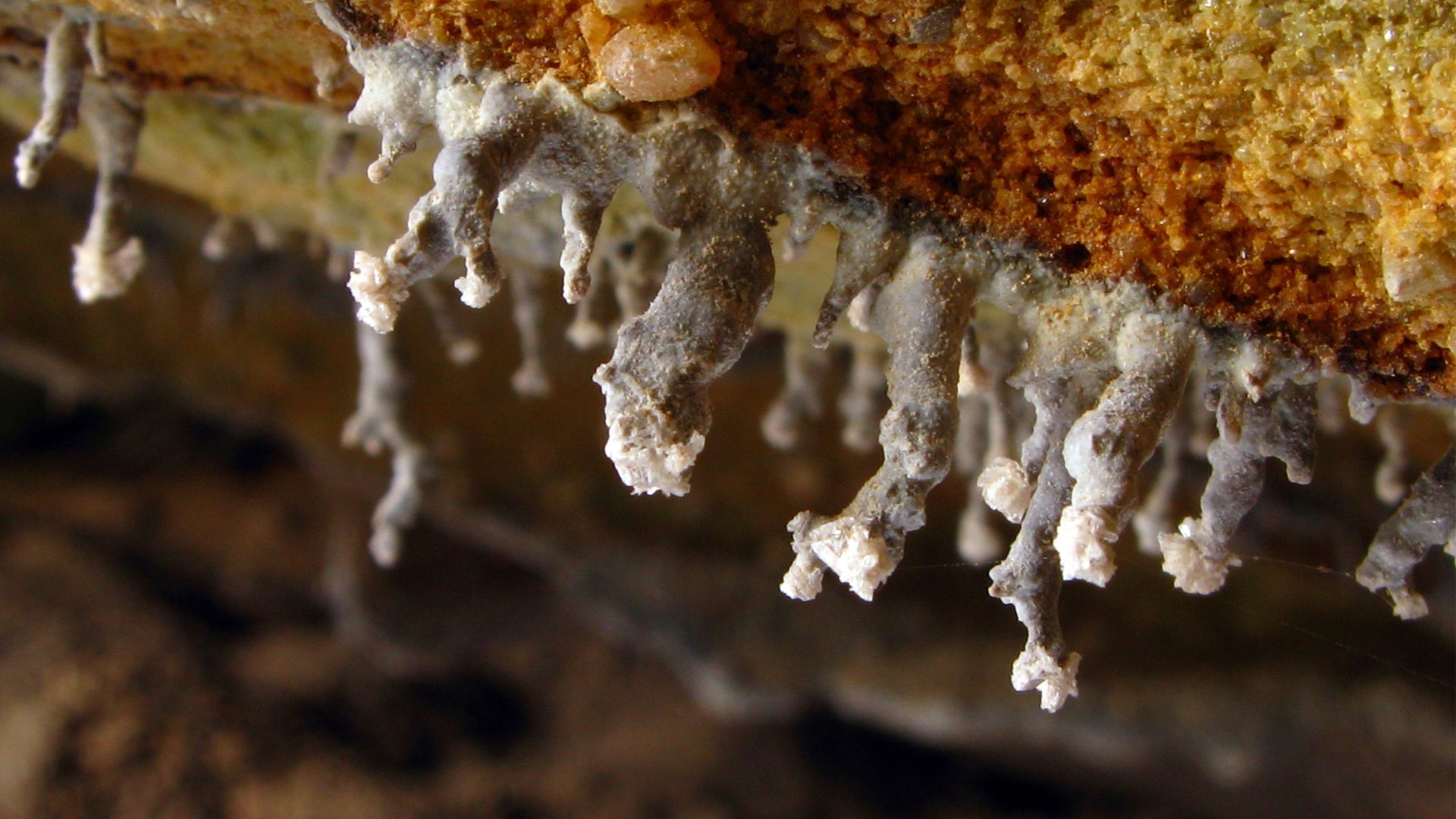 Can life exist without sunlight? Energy from fractured rocks shows that it can