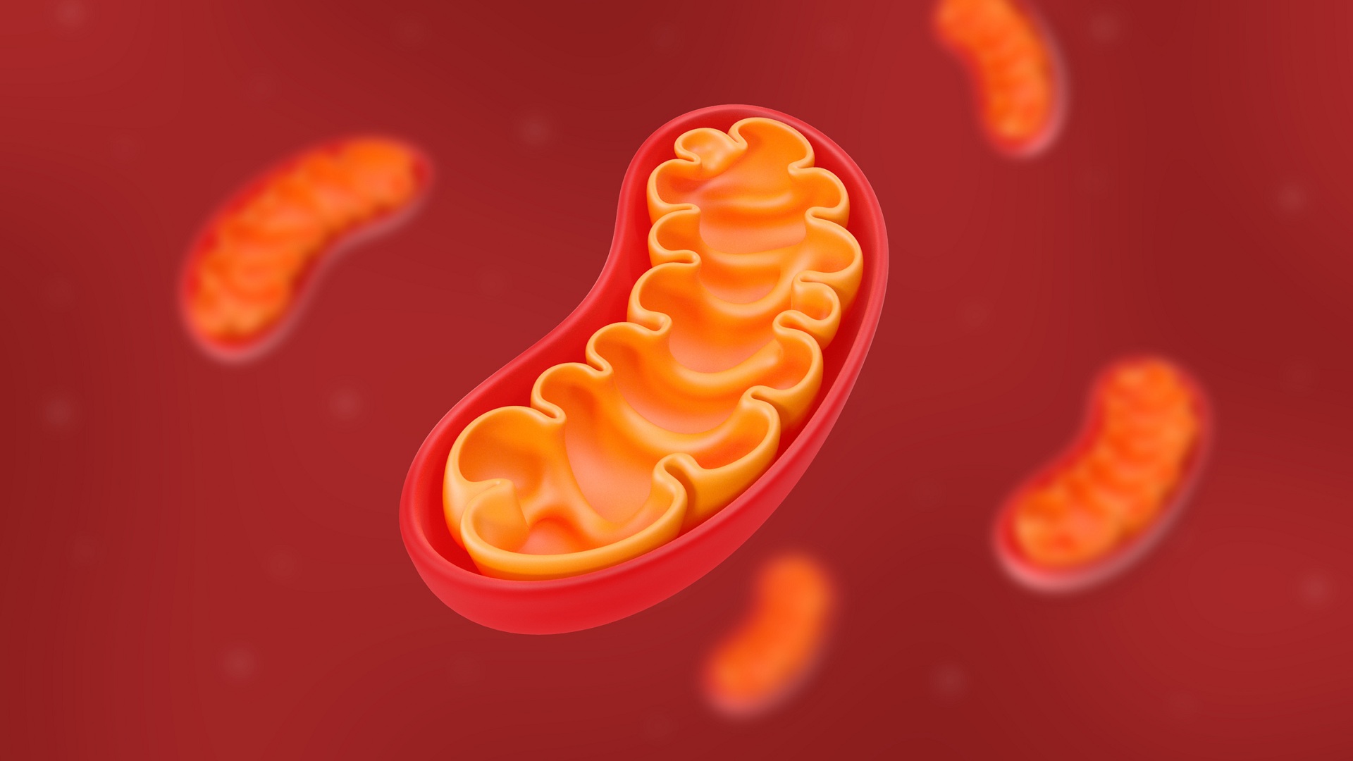 Chemical breakthrough shields mitochondrial DNA before damage triggers chronic disease