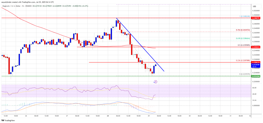 Dogecoin (DOGE) Dips Again – Healthy Correction or Sign of Weakening Momentum?