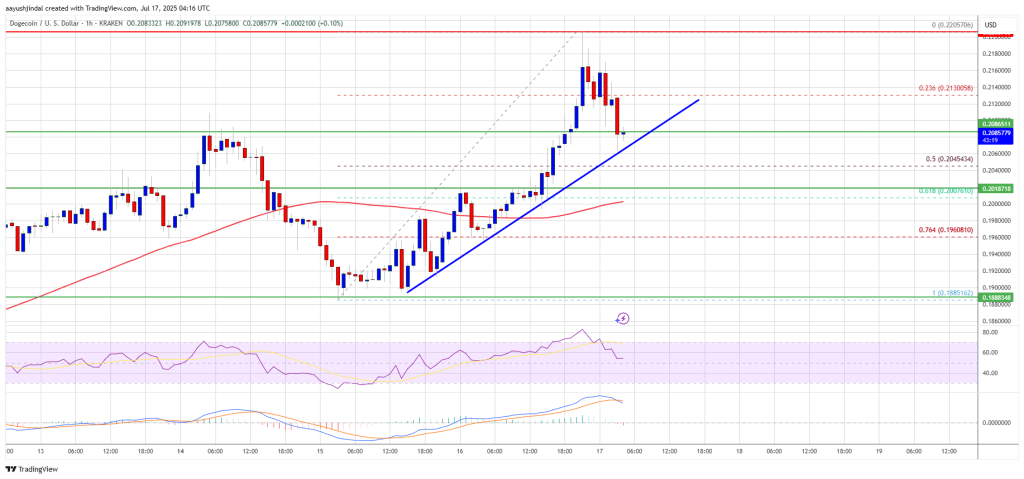 Dogecoin (DOGE) Struggles to Wake Up While Floki Rockets Higher
