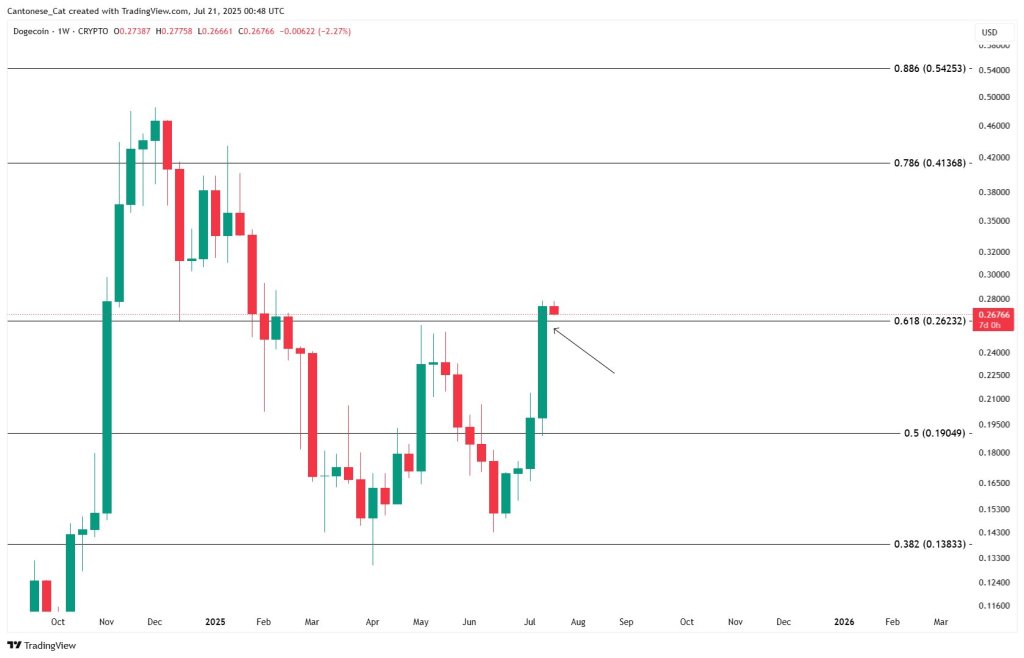 Dogecoin Rally On Thin Ice: Analyst Predicts Sudden Shakeout