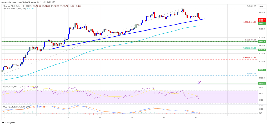 Ethereum Price Momentum Explodes—Is the Path to $4K Wide Open?