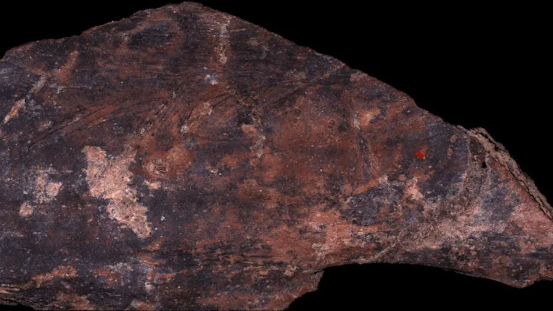 Family recipes? Neanderthal neighbors cooked animals differently, study reveals