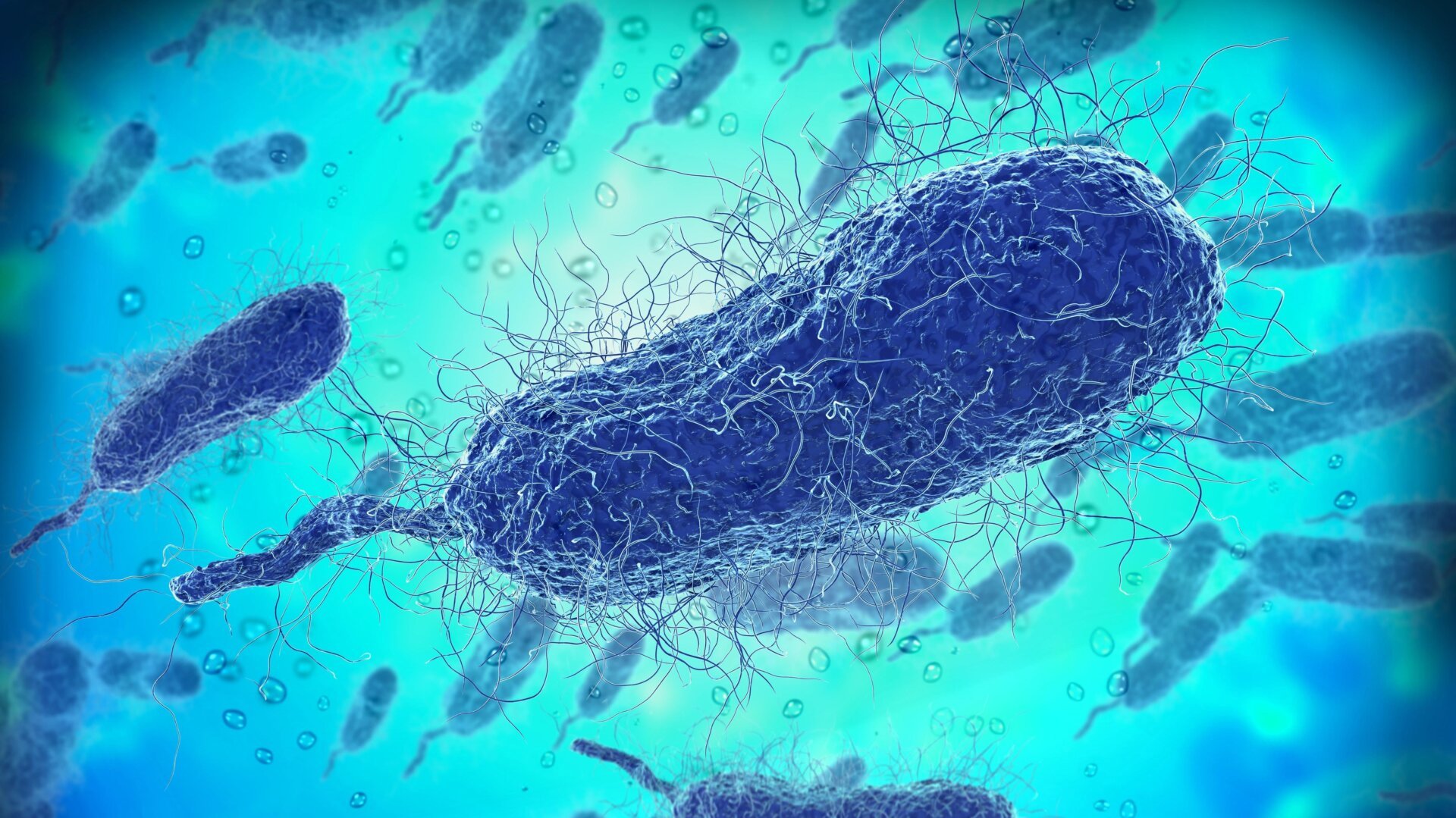 Flesh-Eating Bacteria Have Already Killed Four People in Florida This Year