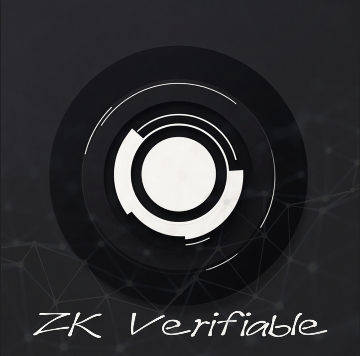 Highly efficient ZK coprocessor name is Bravis