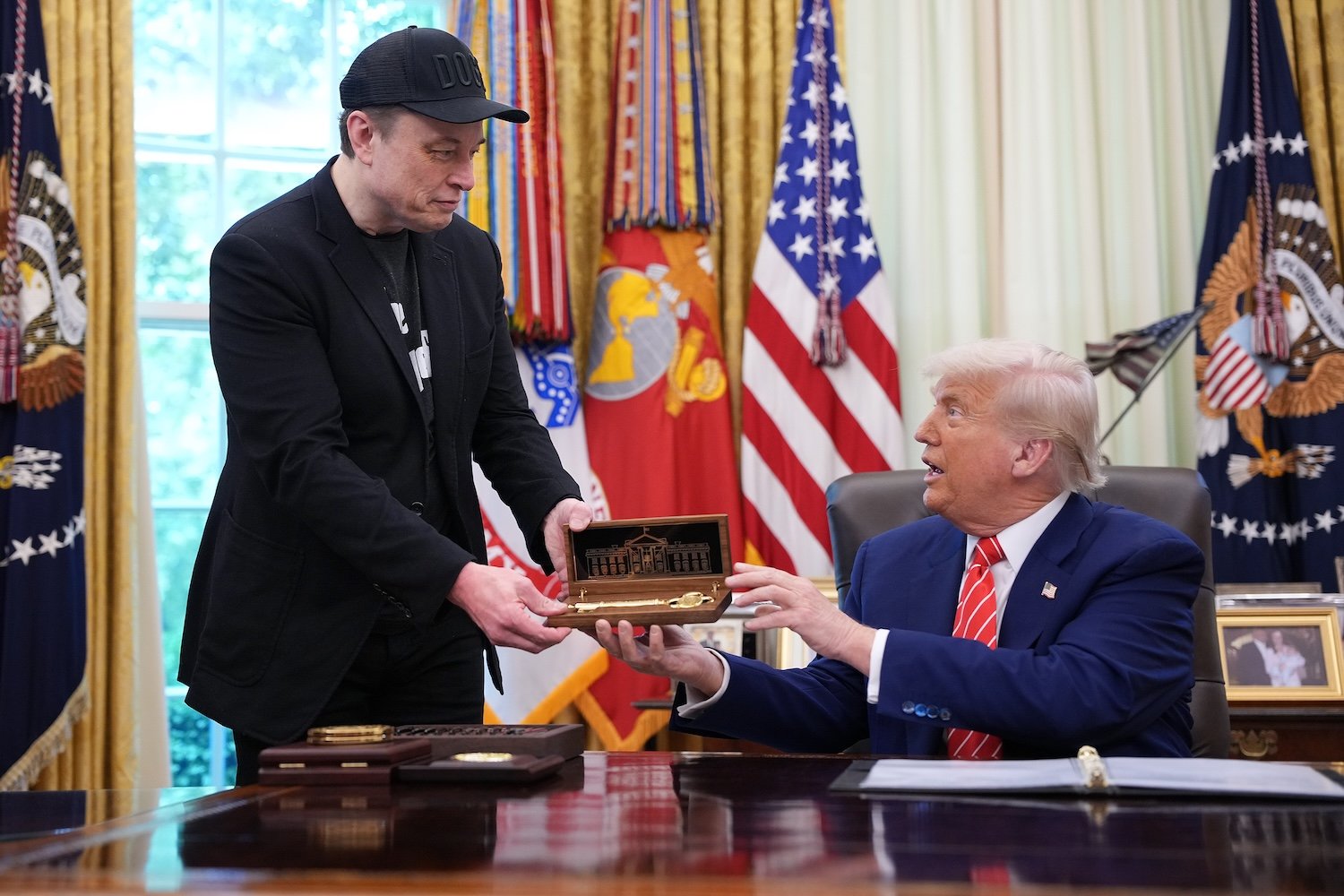 How Elon Musk Created a Nightmare for Donald Trump