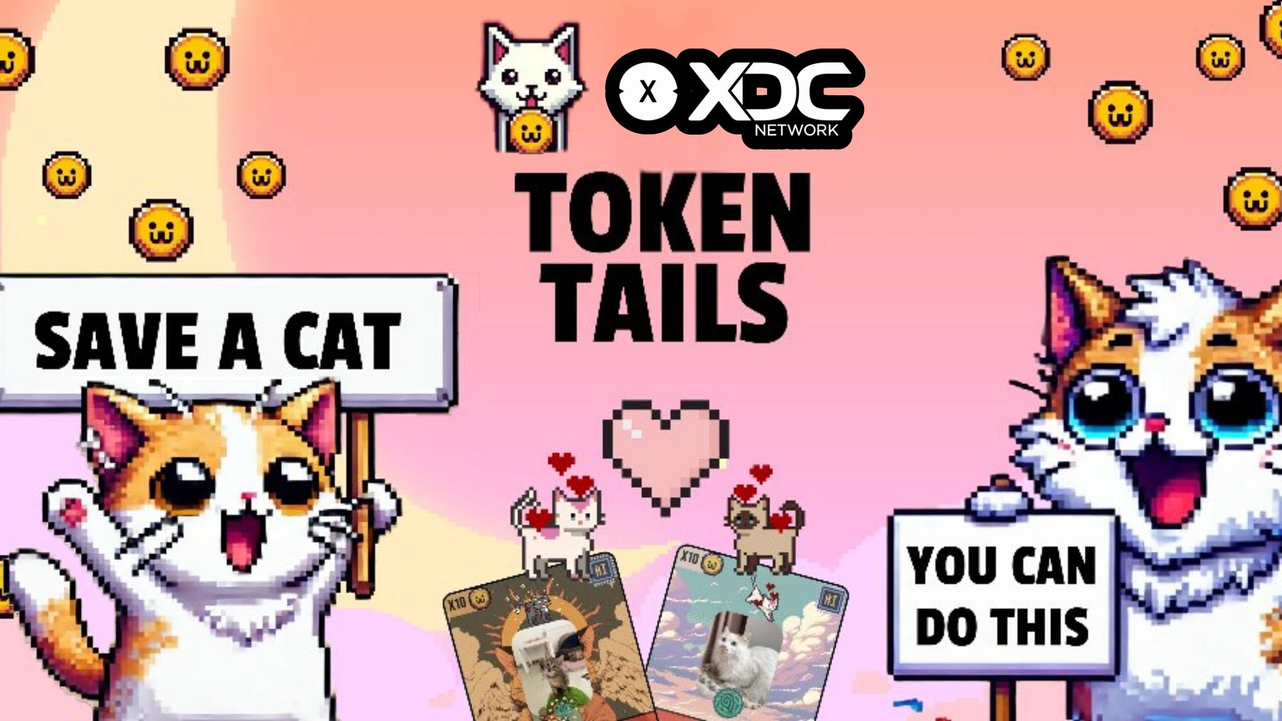 How Token Tails Is Using Web3 and the XDC Network to Save Real Shelter Cats