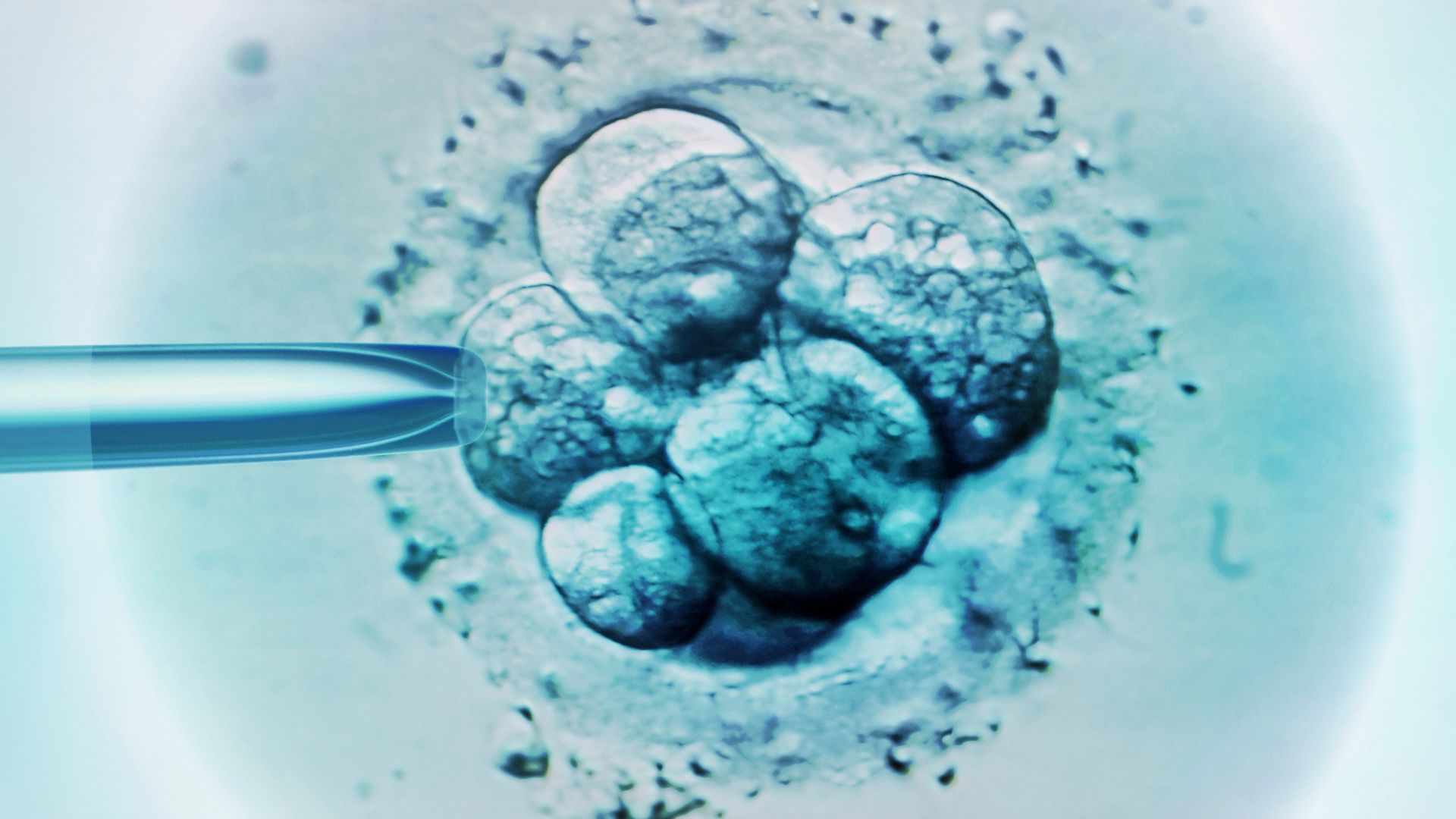 IVF breakthrough using 3‑person DNA leads to 8 babies born free of genetic disease