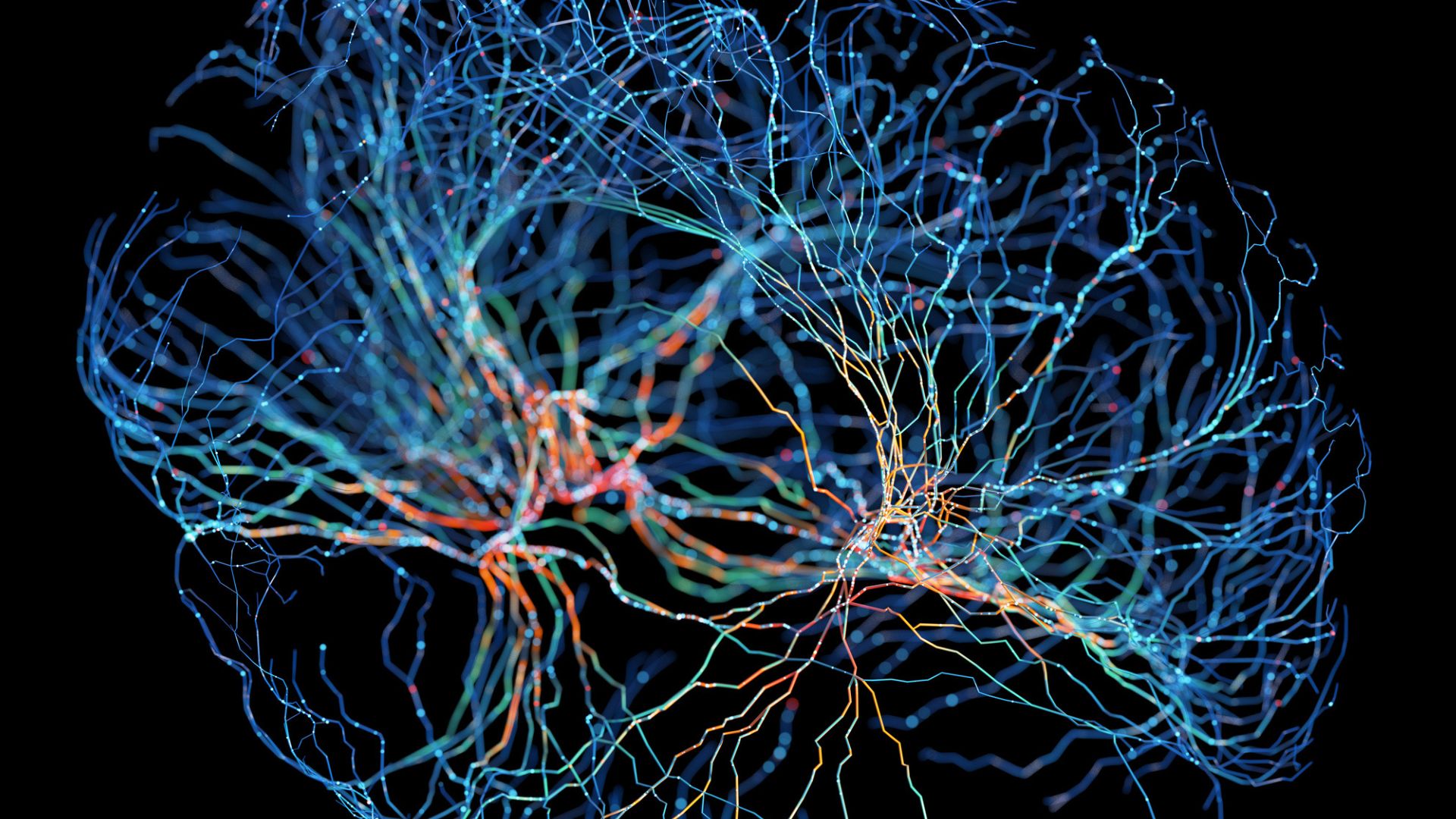 Lab-grown mini-brain with blood vessels could help slash 90% neurodrug failure rate