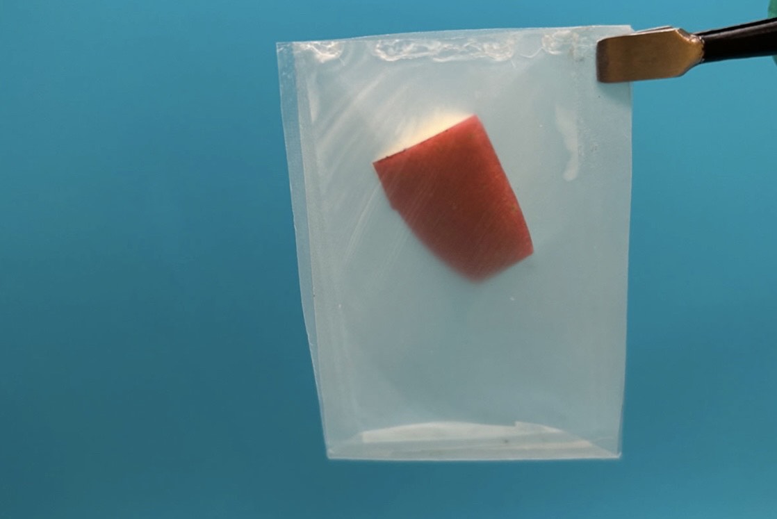 Leaf-inspired breakthrough makes bioplastics stronger, smarter, and truly compostable