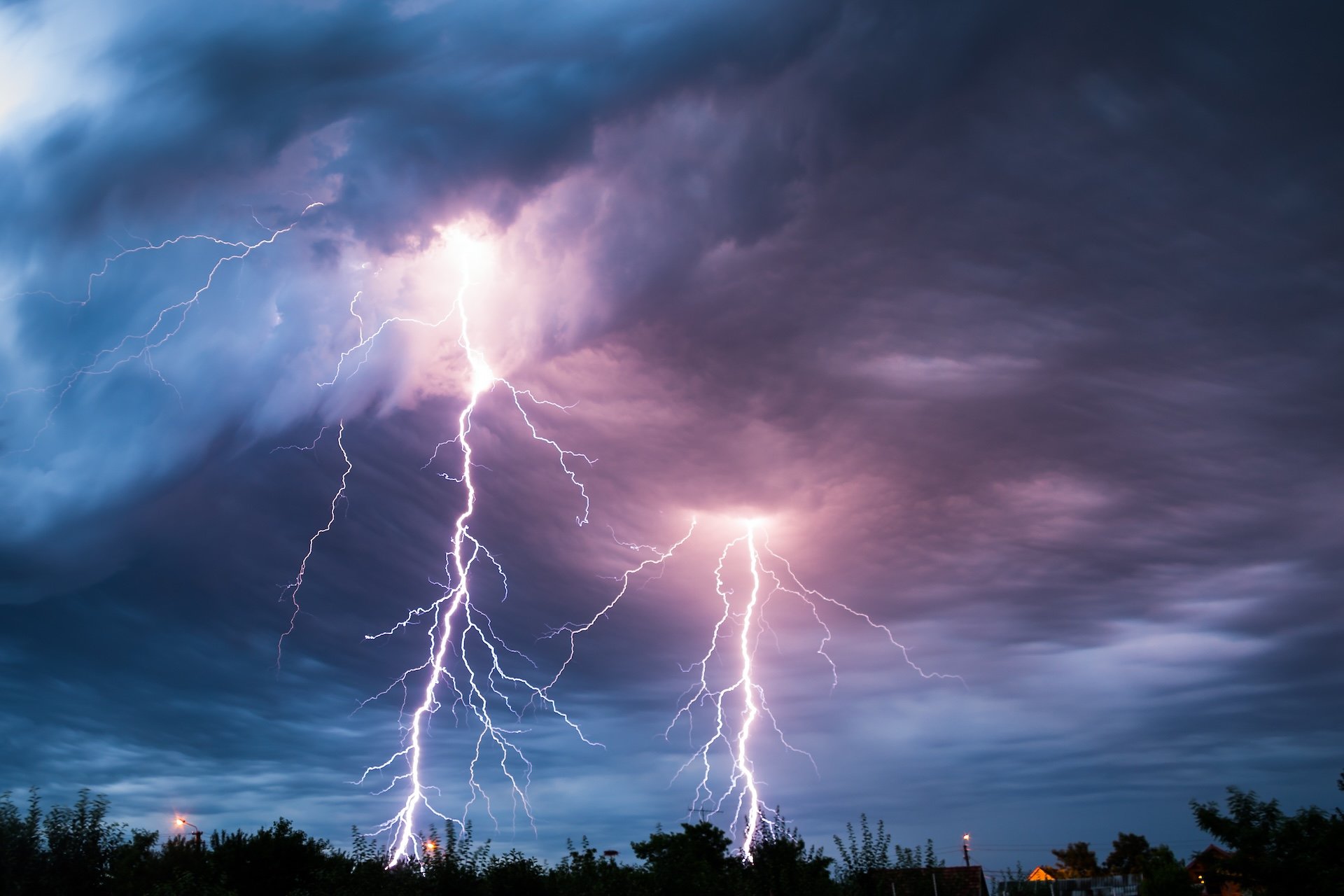 Lightning Kills Way More Trees Than Anyone Thought, New Research Suggests