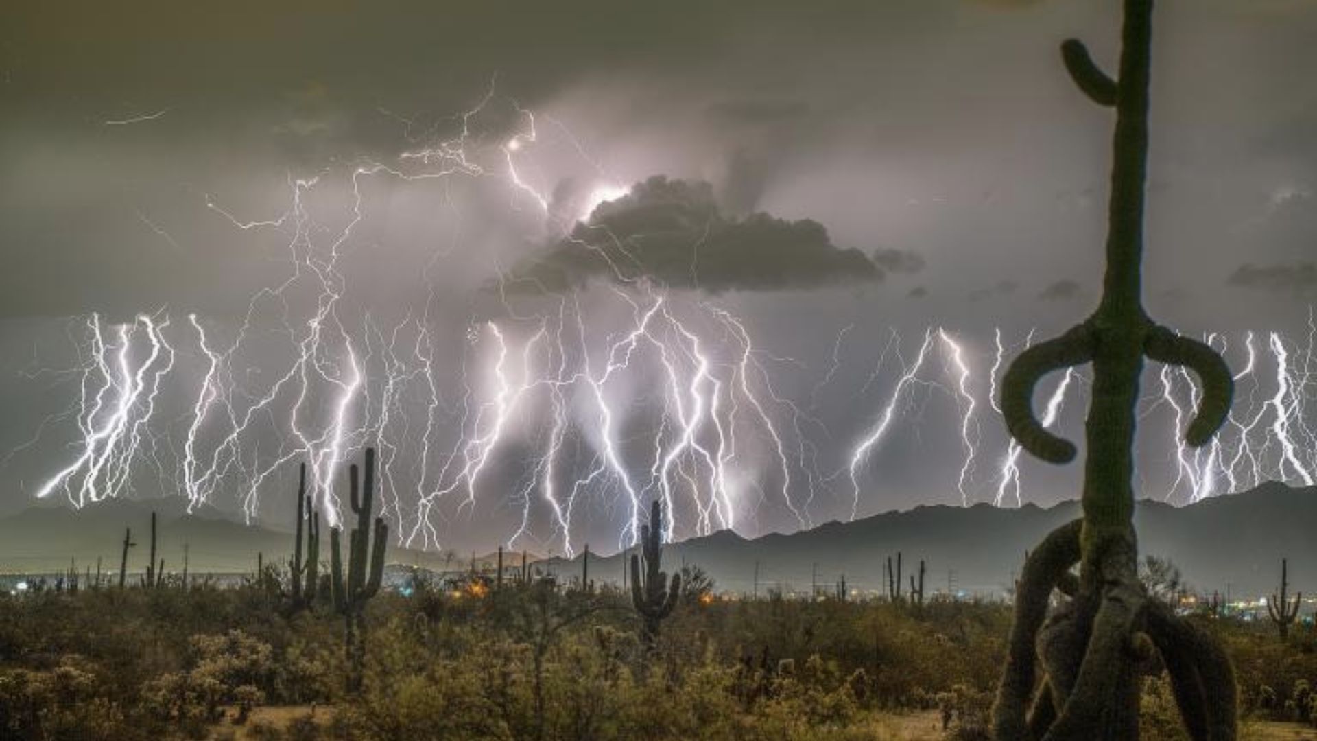 Longest lightning flash: 50x length of average bolt sets world record, travels 515 miles