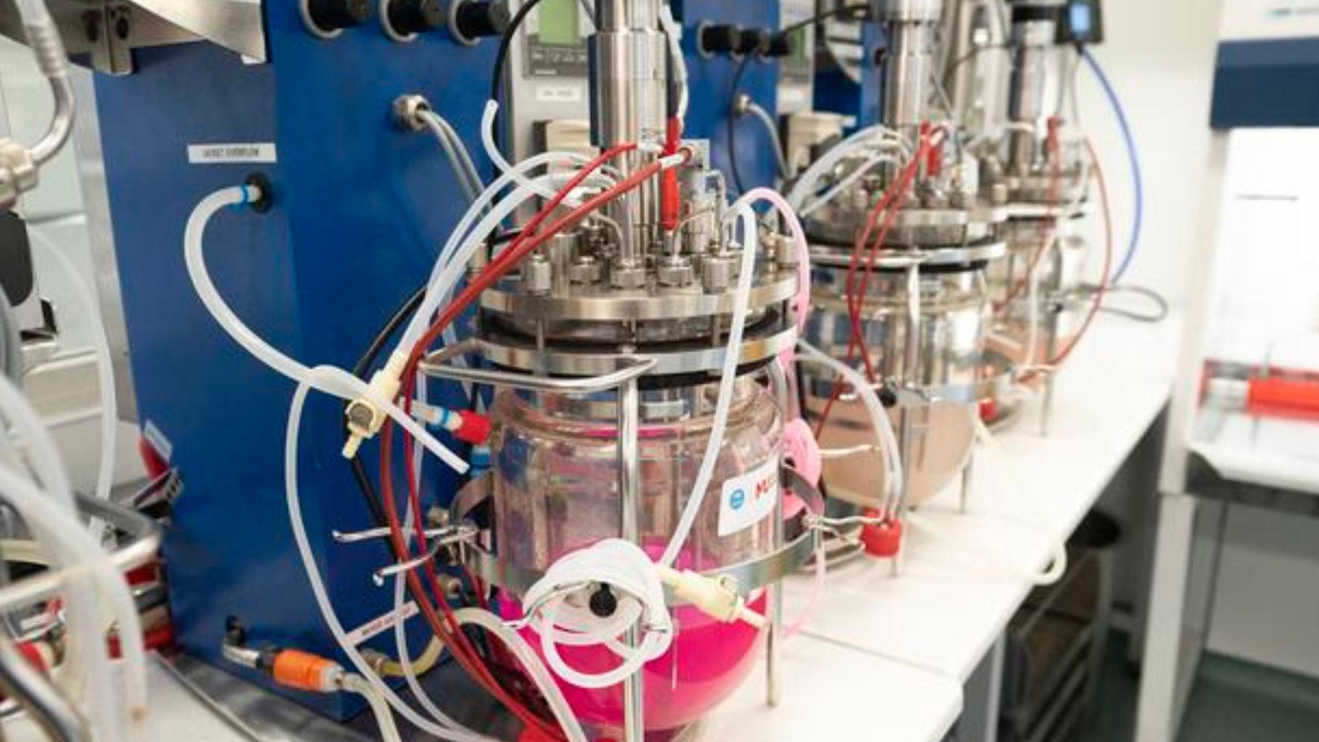Microbes from the wild help scientists craft plastic that melts back into nature