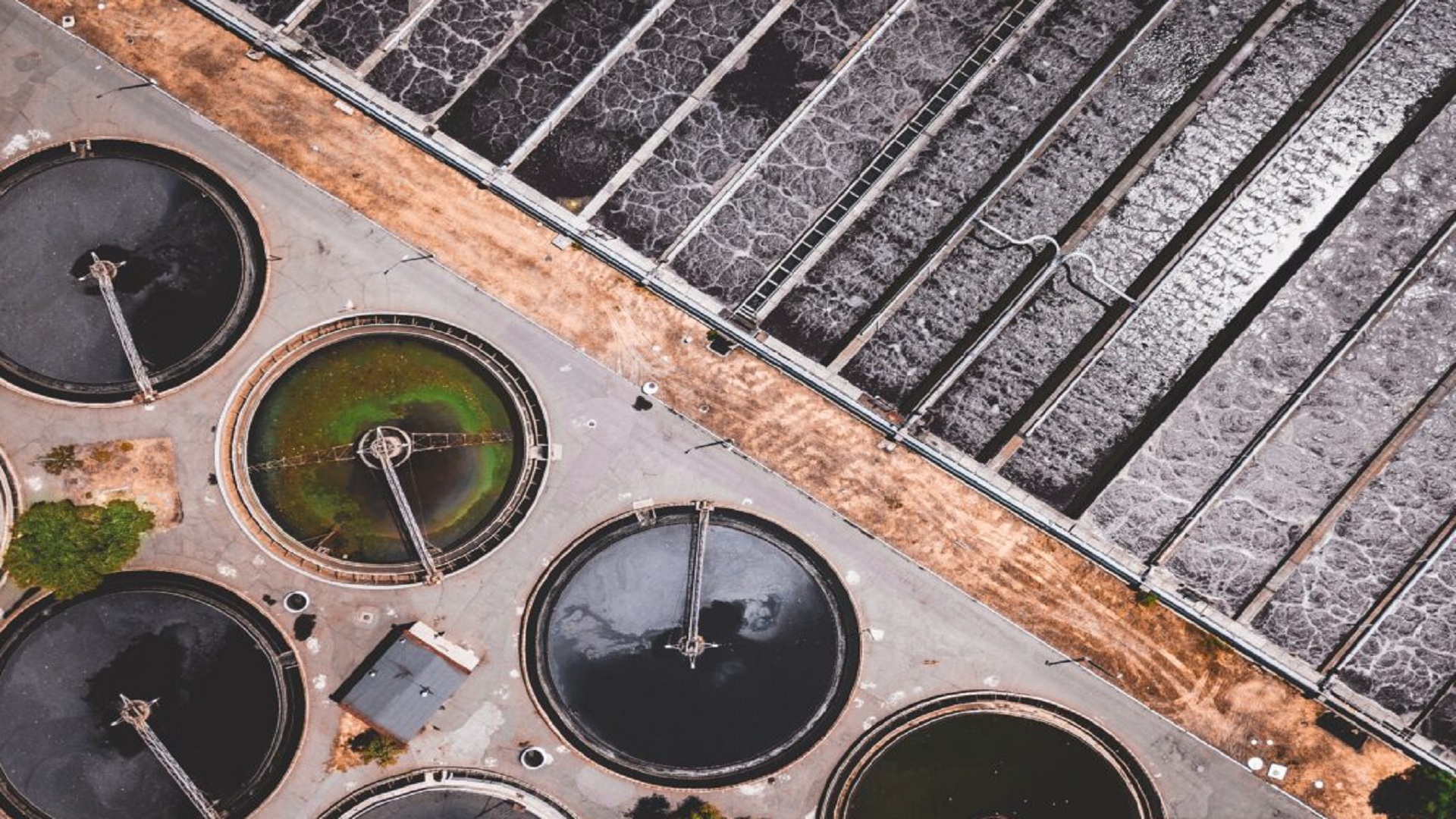 Microsoft uses human poop to scrub 4.9 million tons of carbon from AI footprint