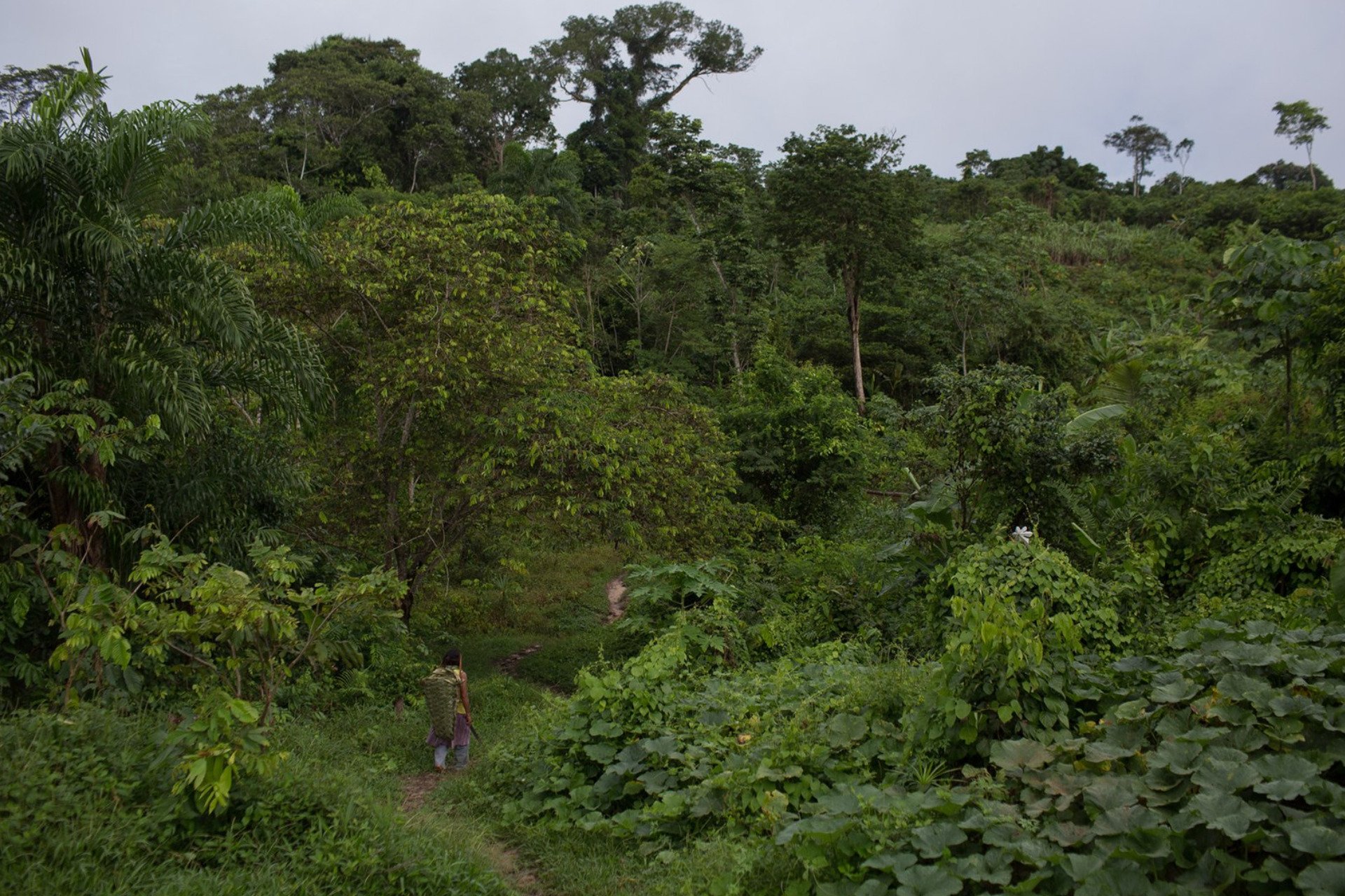 Missionaries Are Targeting Isolated Tribes in Brazil With Solar-Powered Audio Devices, Investigation Finds