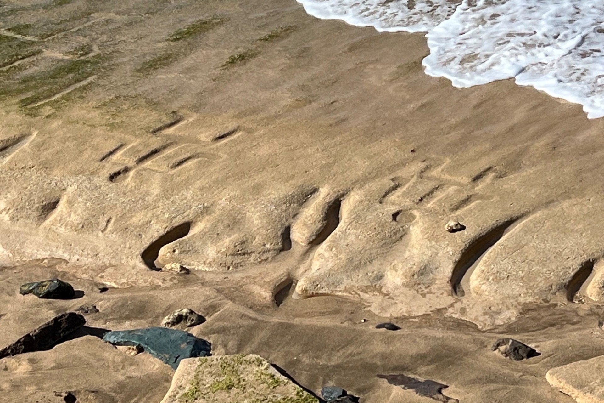 Mysterious Petroglyphs Reemerge on Oahu Beach