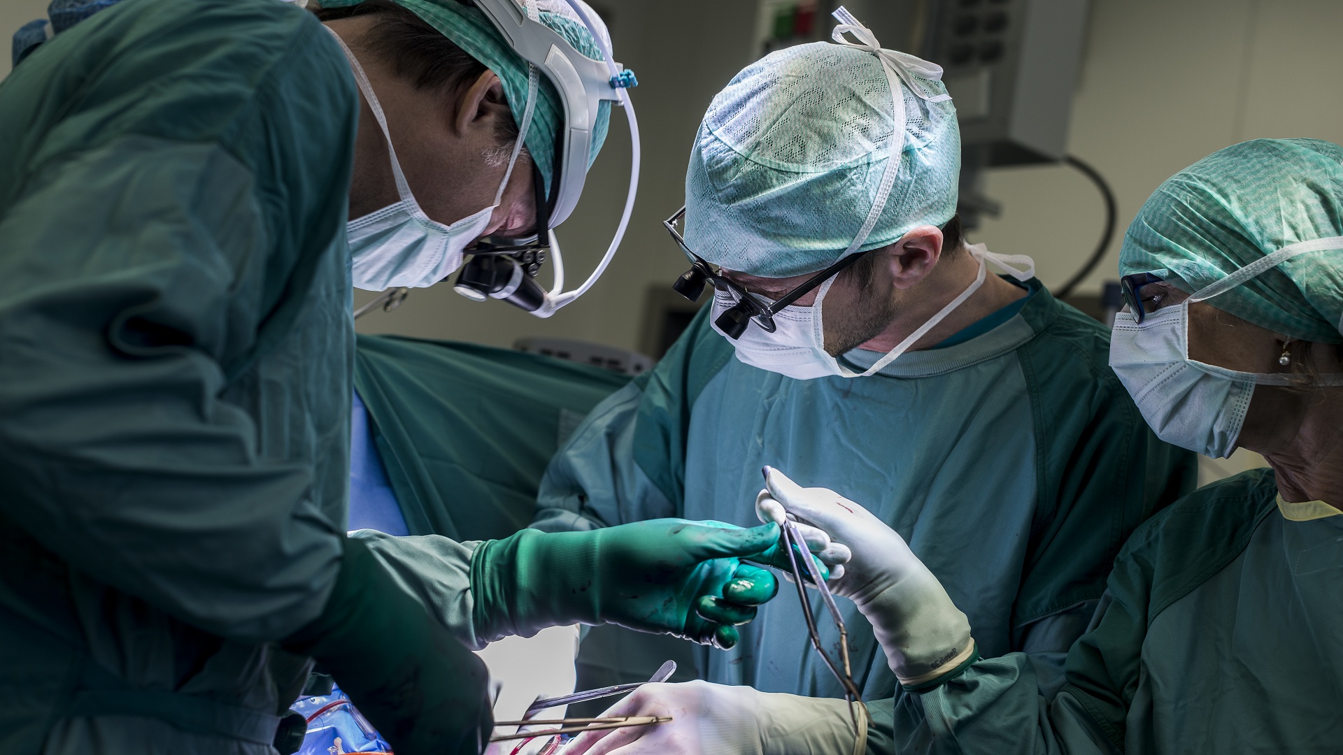New recovery technique brings dead donor hearts back to life without reanimation