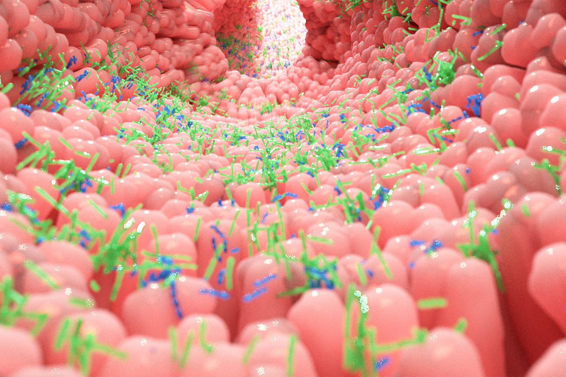 Newly Discovered Gut ‘Sense’ Could Change How We Think About Hunger and Health