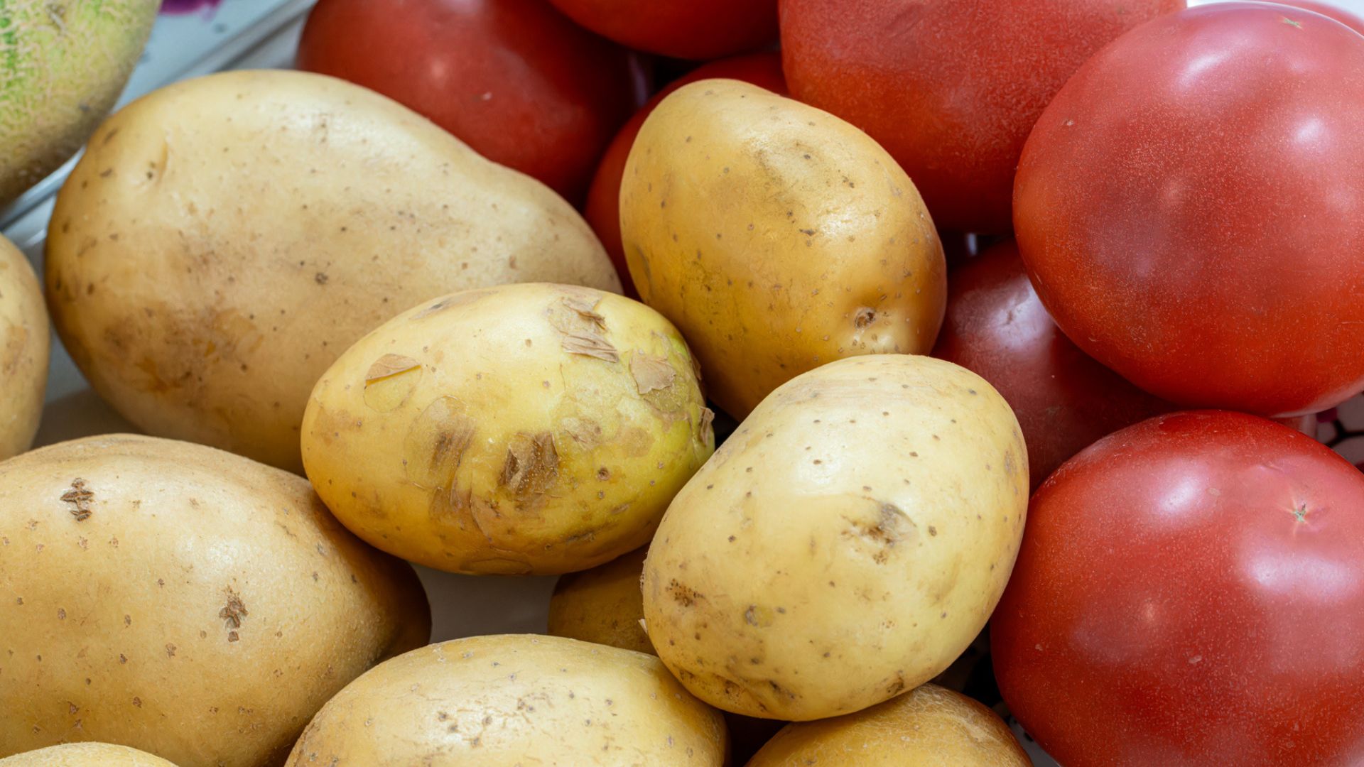 Potato, tomato come from same gene pool, separation occurred 9 million years ago: Study