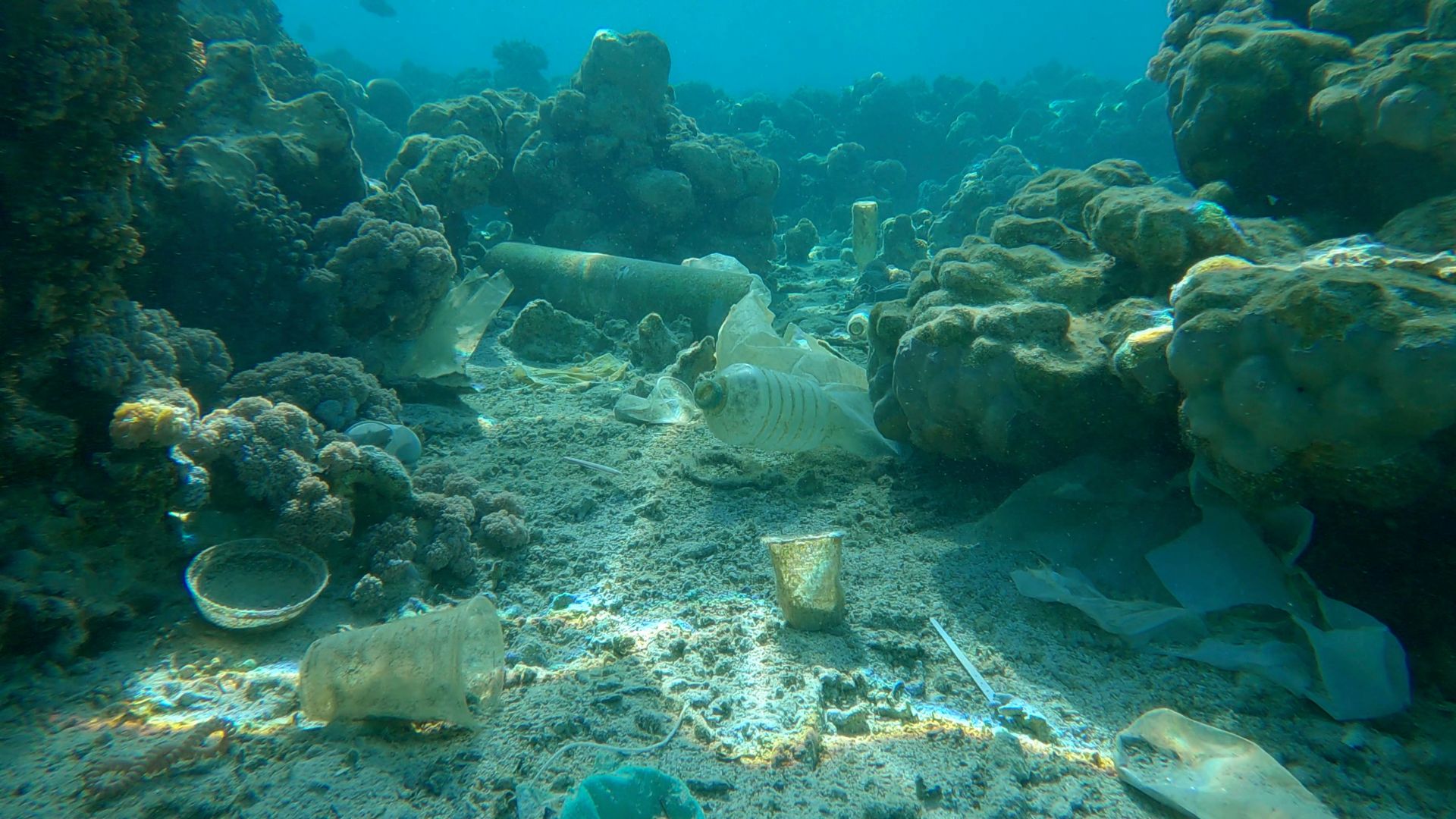 Scientists find bioplastic that vanishes 80% even in extreme deep-sea conditions