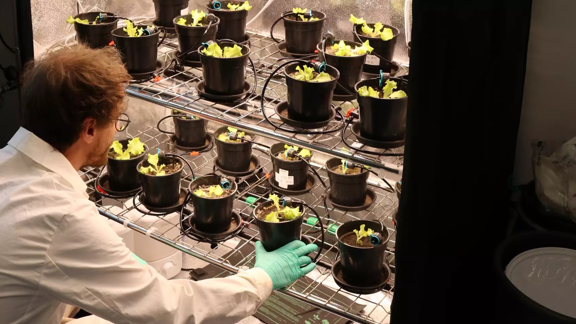 Scientists revive 90-year-old high-pressure process to regenerate soil, cut CO2