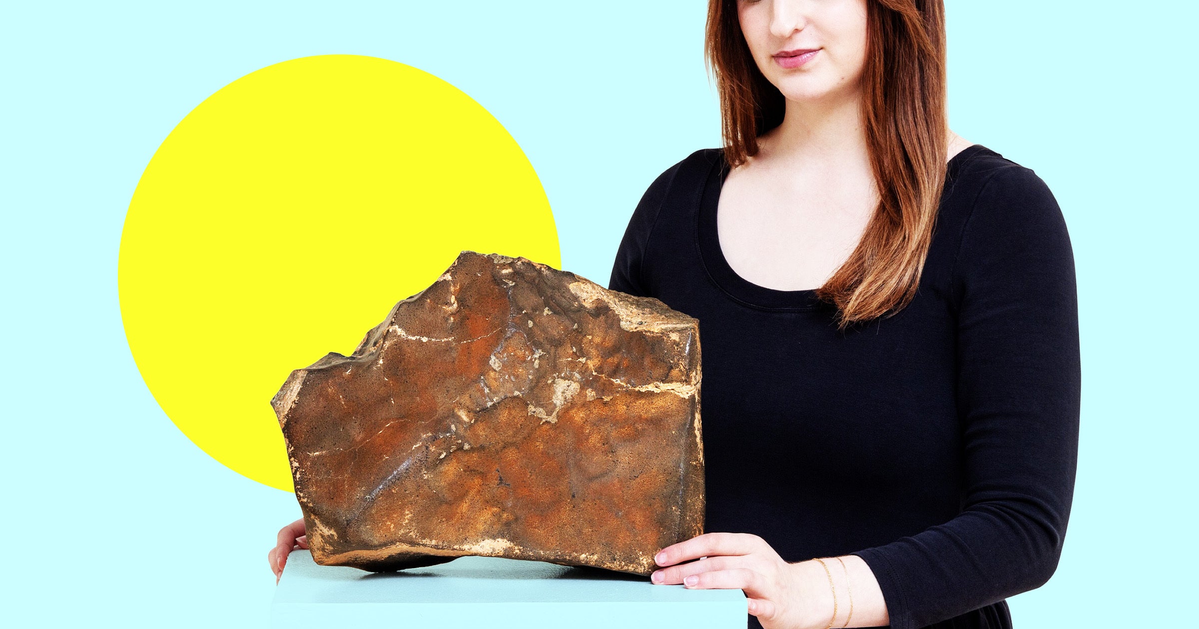 Scientists Saddened as World’s Largest Mars Rock Is Sold at Auction