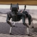 Sirius auf Kickstarter: Kleiner Roboterhund ahmt Verhalten echter Haustiere nach