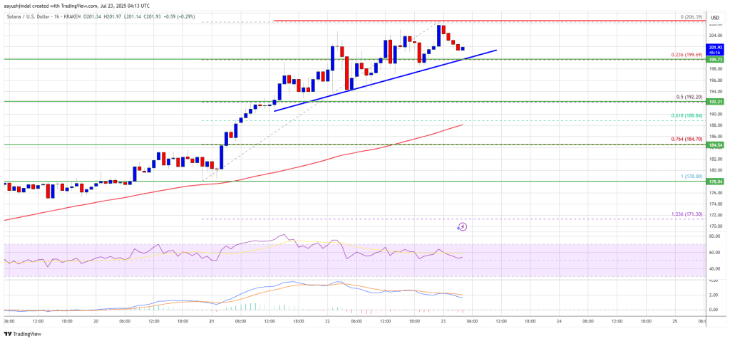 Solana (SOL) Smashes $200, Bulls Now Target $220–$250 Zone