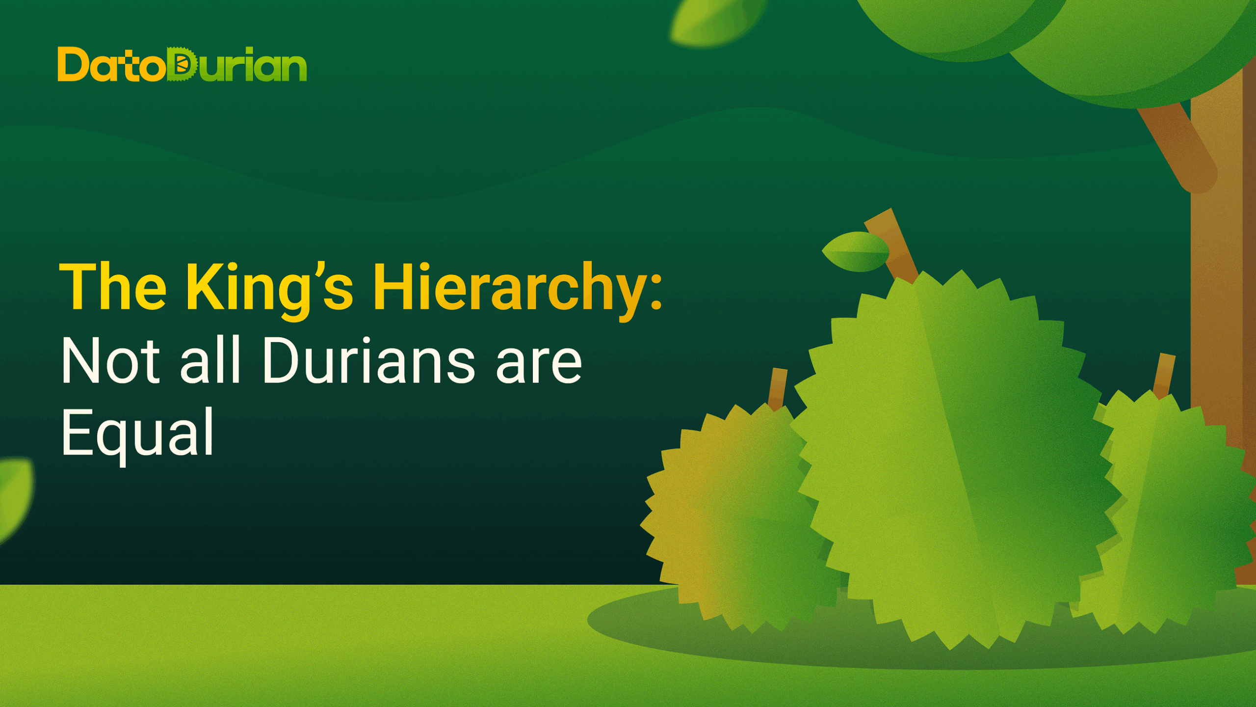 The Durian Hierarchy: Why Musang King Reigns Supreme