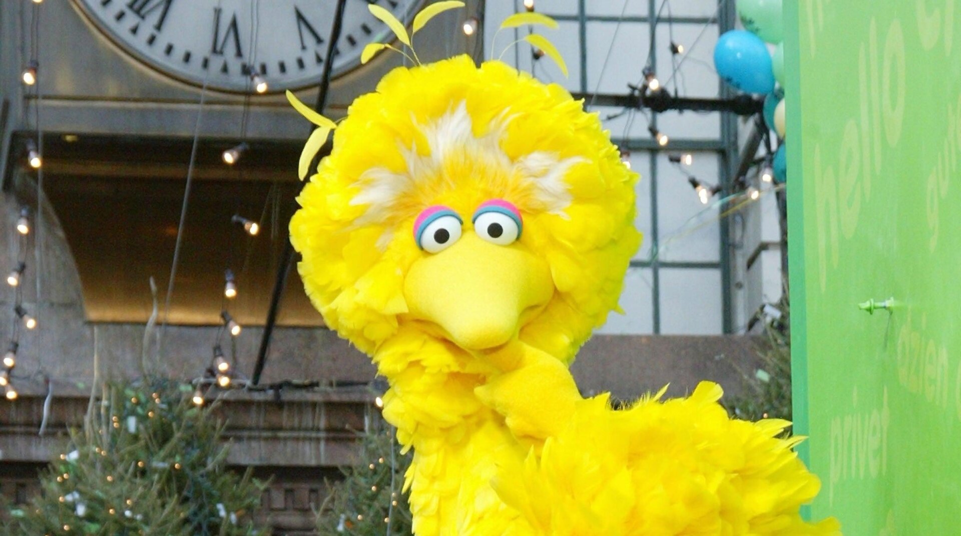 Trump Sues to Fire Big Bird’s Boss
