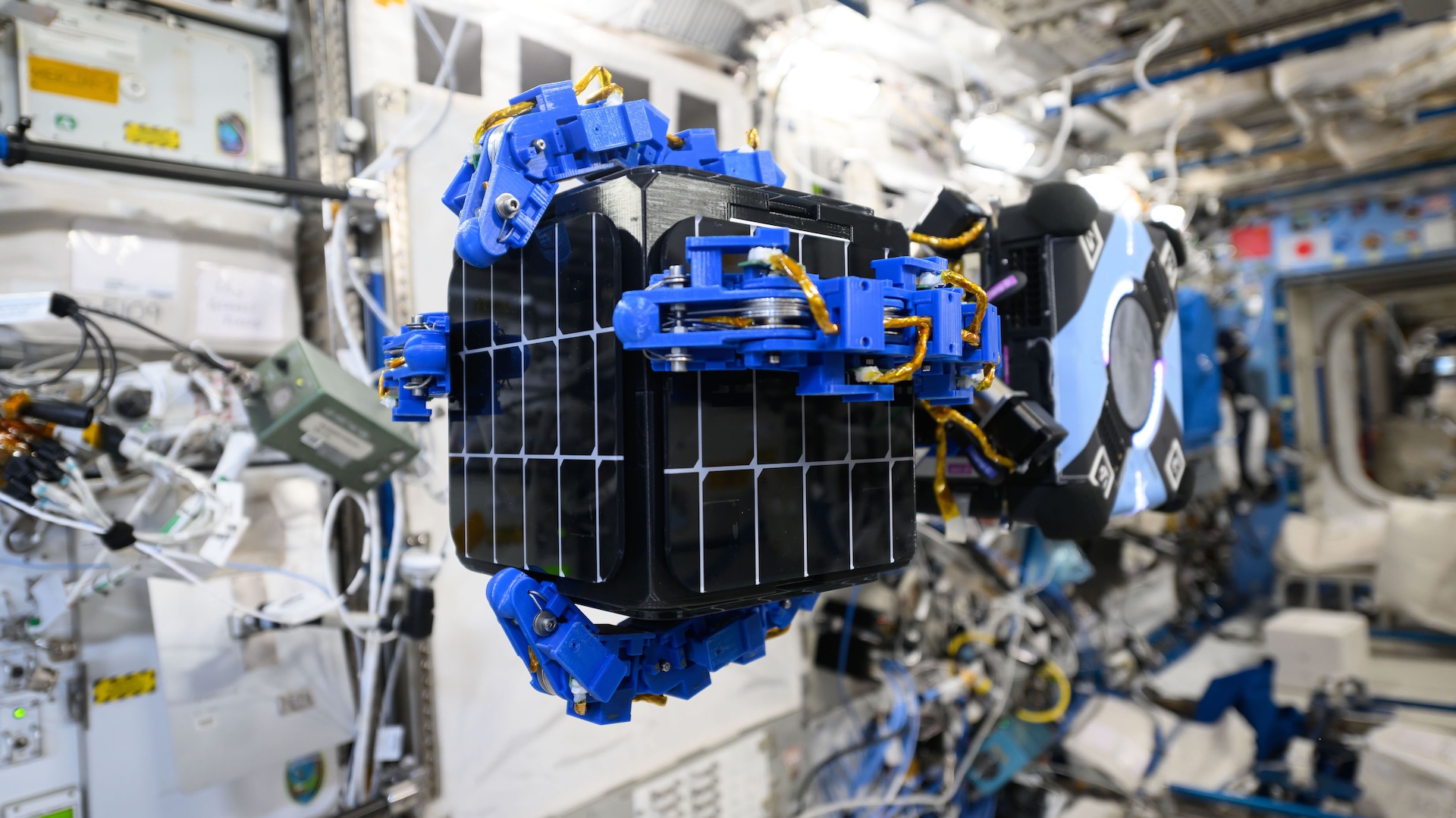 US firm’s gecko feet-inspired ‘tow truck for space’ tested, could correct satellite orbits