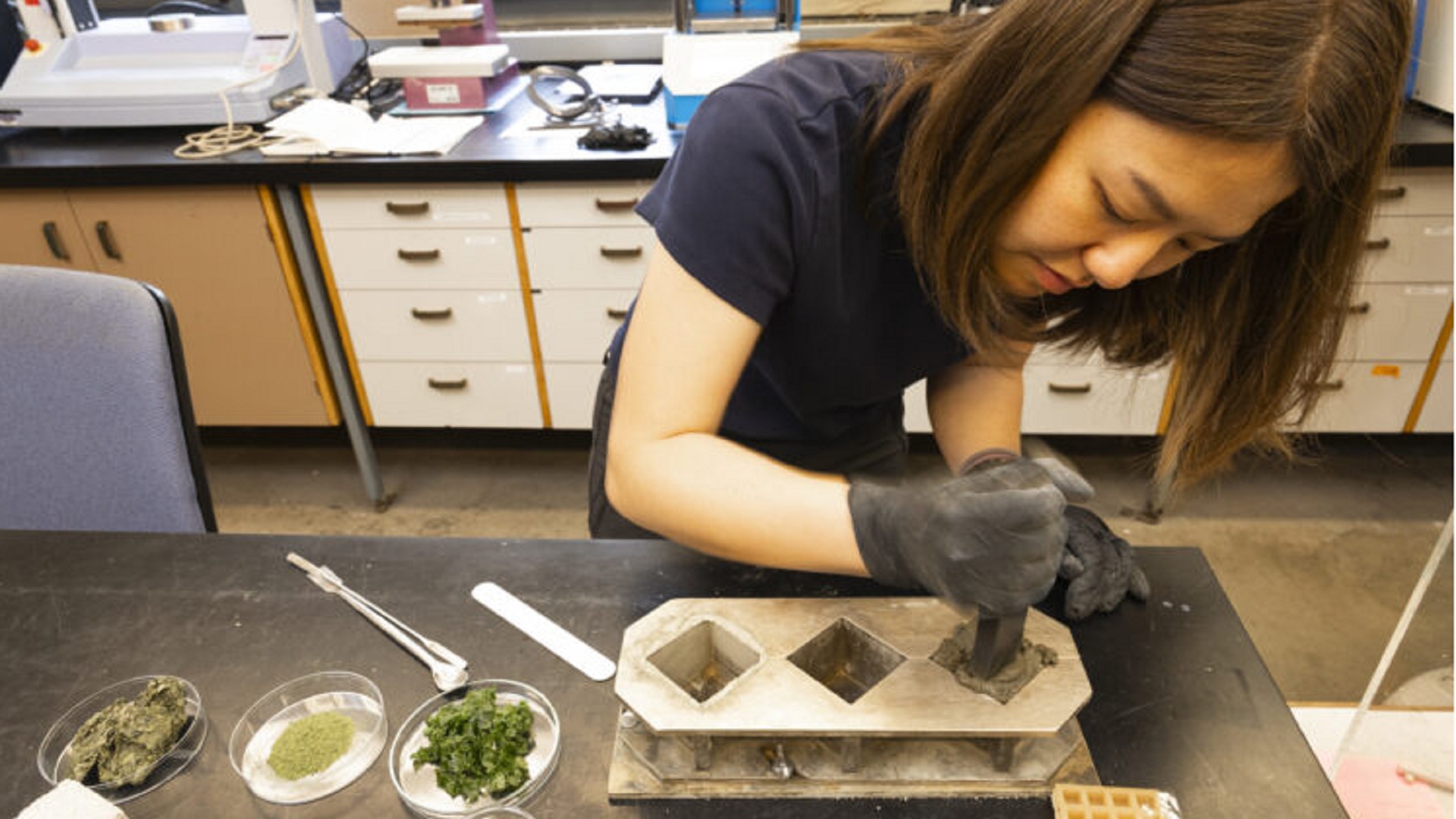 US scientists blend seaweed into concrete to shrink cement’s carbon footprint quickly