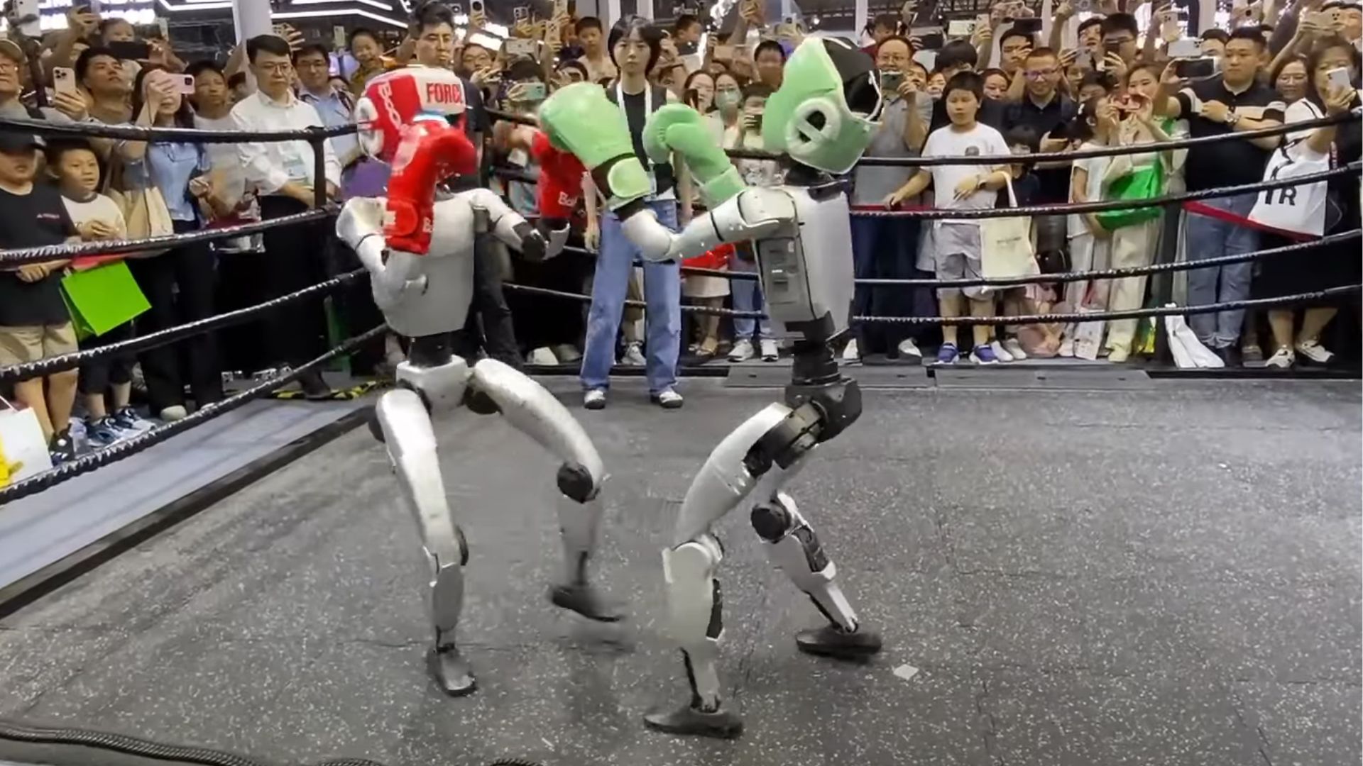 Video: China’s humanoid robot ring fighters show off torque, timing and technique