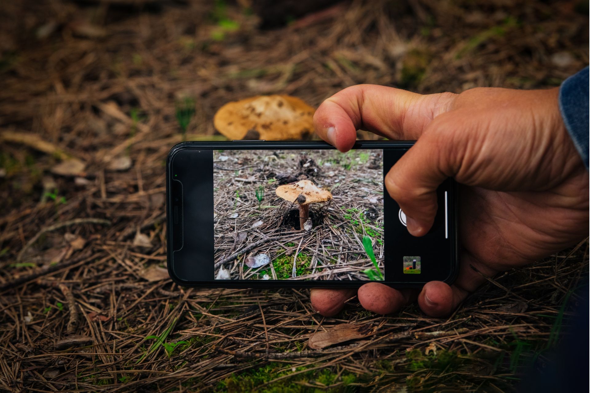 Your Nature Photos Are Doing More Science Than You Think