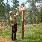 Aufbauspiel: Im National Park Simulator ruft die Wildnis