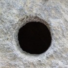 Bug in WordPress-Plugin: Daten aller Pi-hole-Spender geleakt
