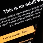 Gericht bestätigt: DNS-Sperren gegen pornografische Inhalte sind rechtens