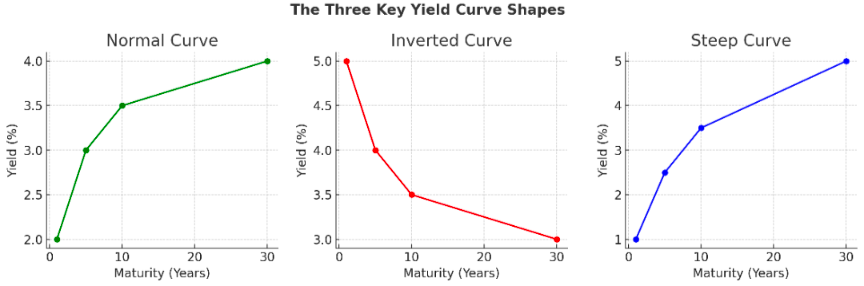 How the Yield Curve Shapes the Future of Bitcoin and Gold