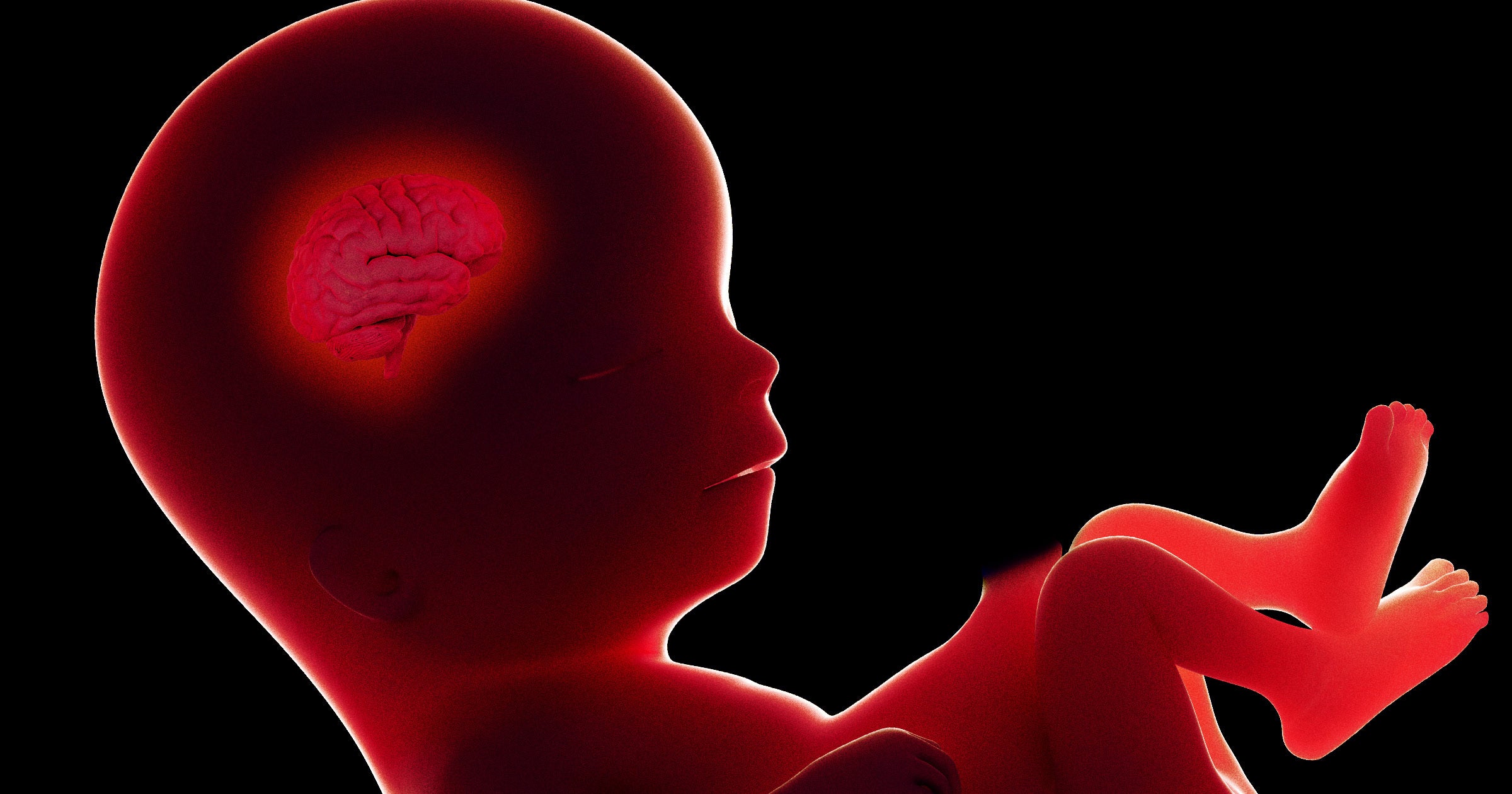 New IVF Startup Claims It Can Predict an Embryo’s IQ