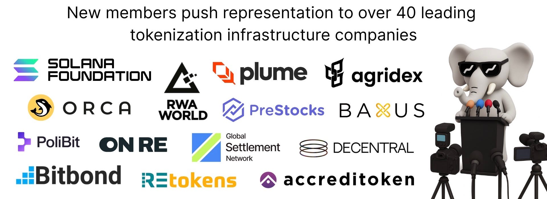 RWA Foundation Expands Inaugural Cohort with New Leaders in Tokenization and Decentralized Finance